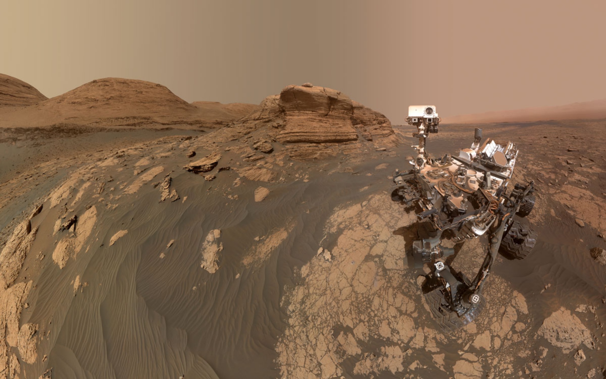 selfie of curiosity